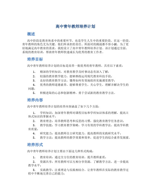 高中青年教师培养计划