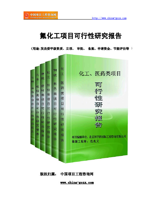 氟化工项目可行性研究报告范文格式(专业经典案例)