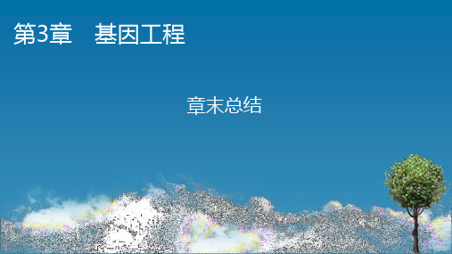 人教版高中生物选择性必修第3册 第3章 基因工程 章末总结3