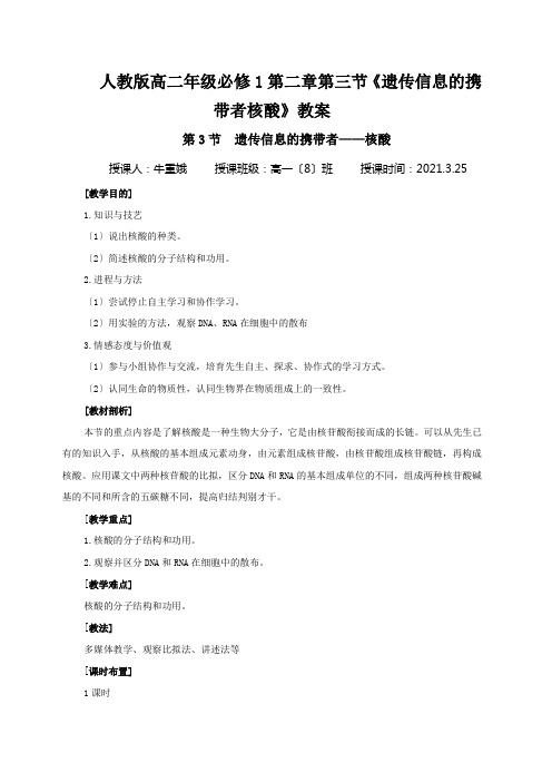 人教版高二年级必修1第二章第三节《遗传信息的携带者核酸》教案