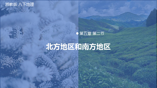 5-2 北方地区和南方地区课件 2022-2023学年湘教版地理八年级下册