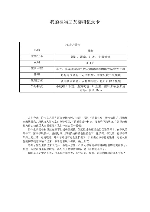 我的植物朋友柳树记录卡