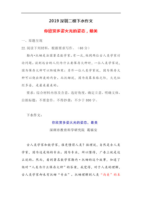 2019深圳二模下水作文:你欣赏多姿火光的姿态,最美