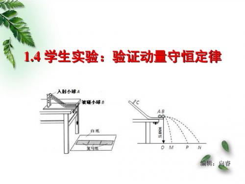 实验：验证动量守恒定律(精品)