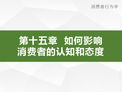 第15章 如何影响消费者的认知和态度消费者行为学导论卢泰宏