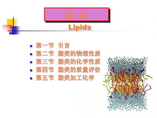 食品化学第四章PPT课件