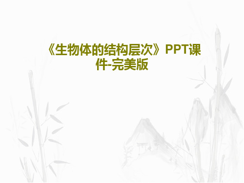 《生物体的结构层次》PPT课件-完美版共29页