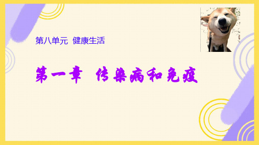 8.1传染病和免疫+复习课件-2023-2024学年人教版生物八年级下册