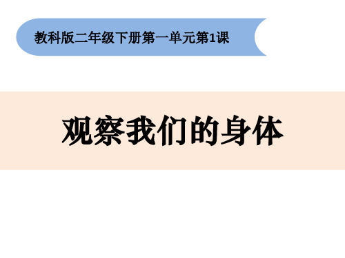 最新教科版小学科学二年级下册《观察我们的身体》教学课件