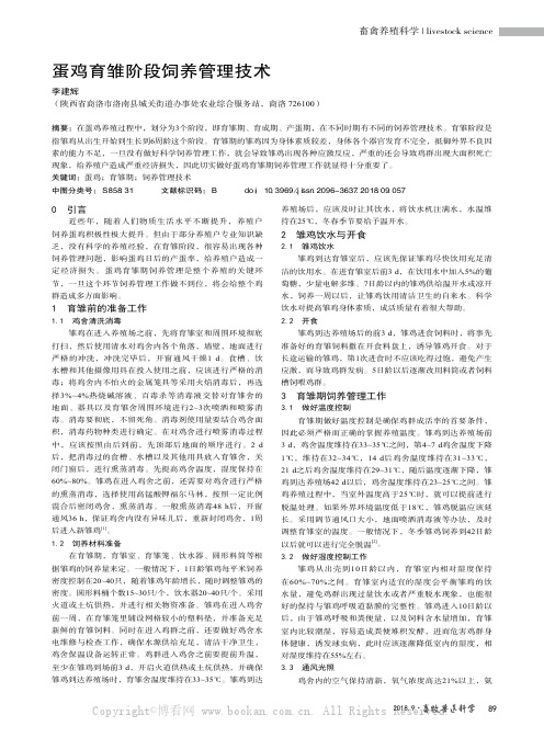 蛋鸡育雏阶段饲养管理技术