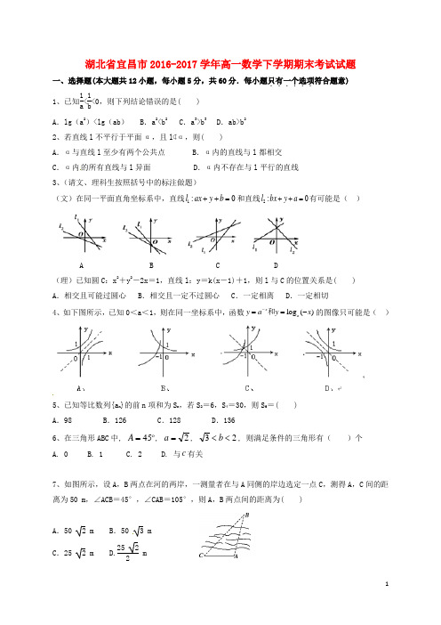 湖北省宜昌市高一数学下学期期末考试试题