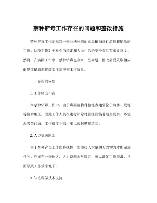 禁种铲毒工作存在的问题和整改措施