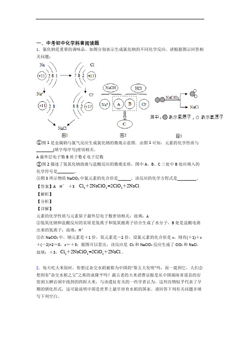 备战中考化学 科普阅读题 培优练习(含答案)含答案解析