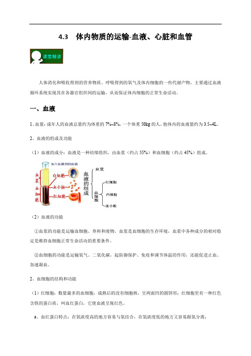 4.3  体内物质的运输-血液、心脏和血管—浙教版九年级科学上册学案