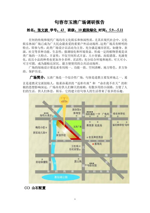 句容市玉清广场调研报告