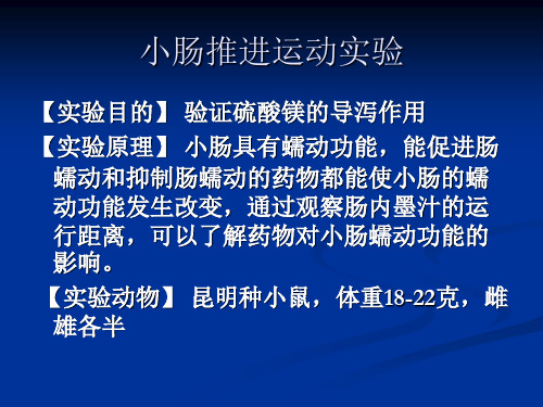 小肠推进运动实验.ppt