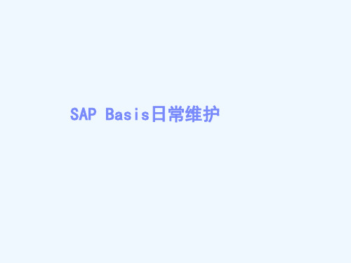 SAPBasis日常维护(basis经典教程)