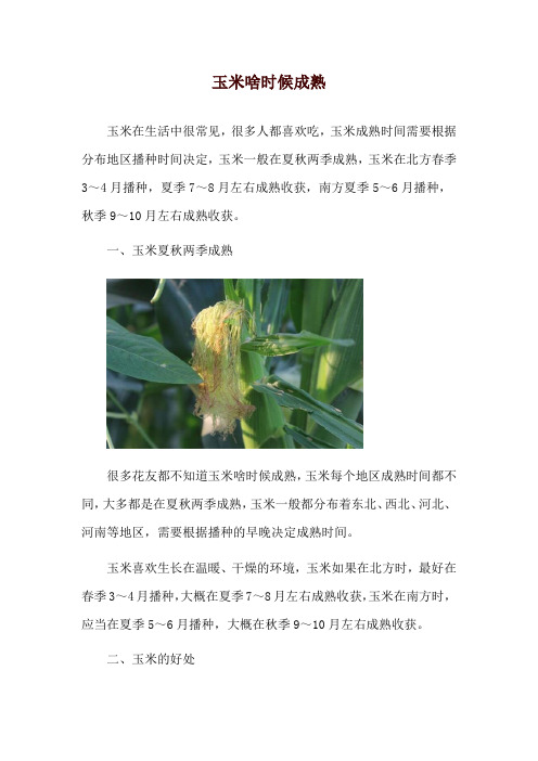 玉米啥时候成熟