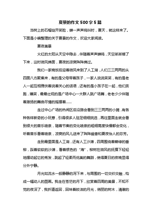 夏景的作文500字5篇