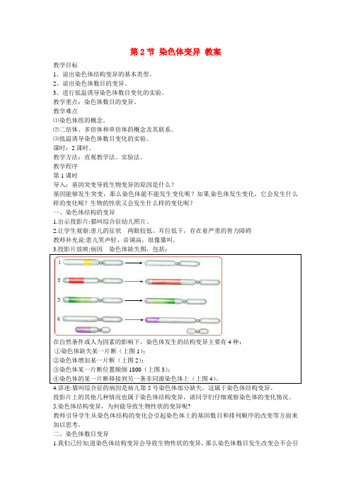 高中生物 第5章 基因突变及其他变异第2节《染色体变异》参考教案2 新人教版必修2
