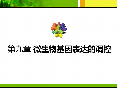 第九章  微生物基因表达调控