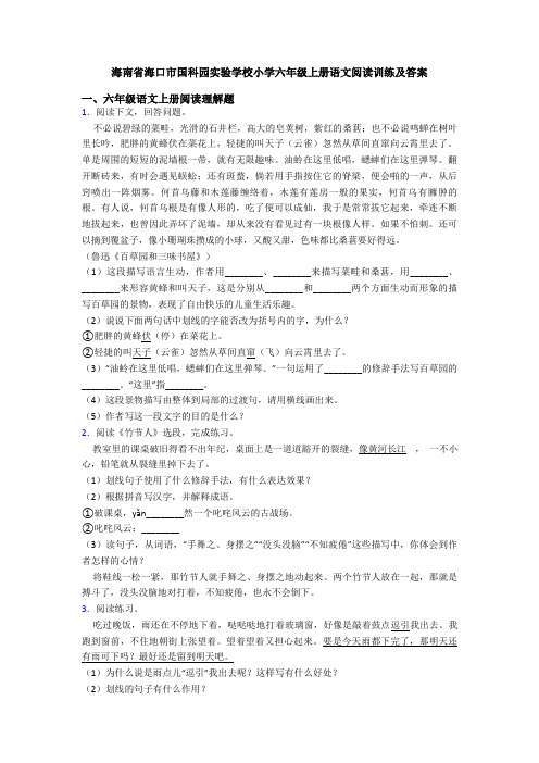 海南省海口市国科园实验学校小学六年级上册语文阅读训练及答案