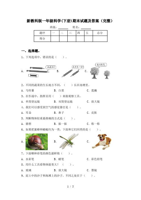 新教科版一年级科学(下册)期末试题及答案(完整)