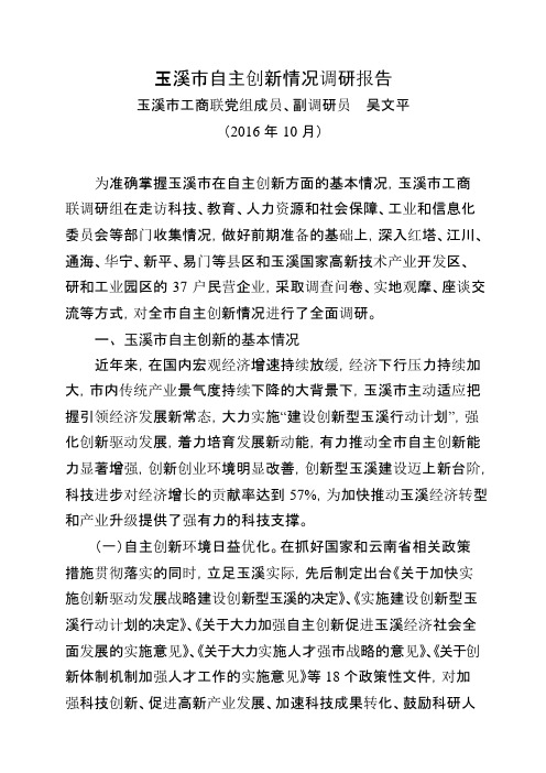 玉溪自主创新情况调研报告