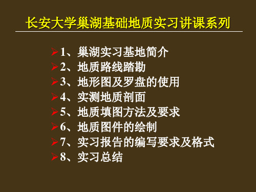 巢湖实习,报告-剖面图、柱状图、地质图的绘制方法