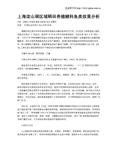 上海淀山湖区域稻田养殖鲤科鱼类效果分析