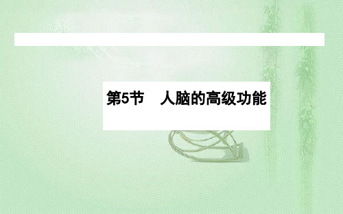 高中生物新人教版选择必修125人脑的高级功能课件(58张)