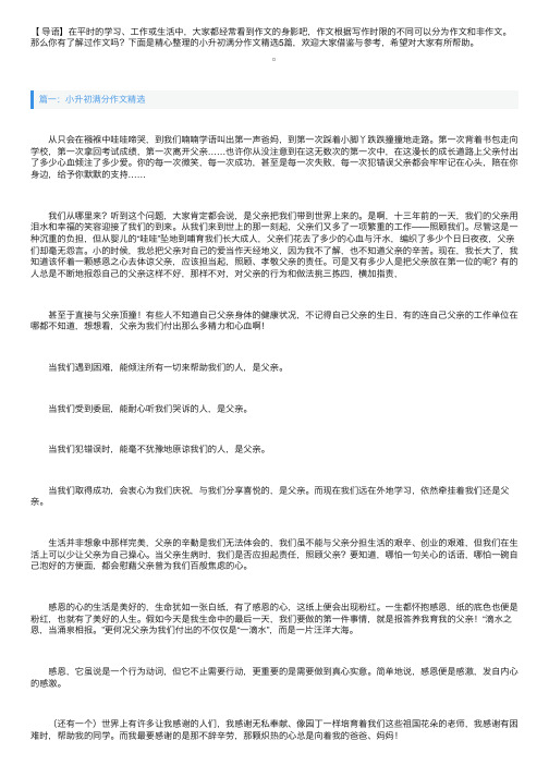 2021小升初满分作文精选5篇