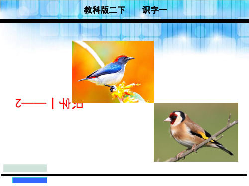 2018年新版教科版二年级语文下册识字一2课件全面版