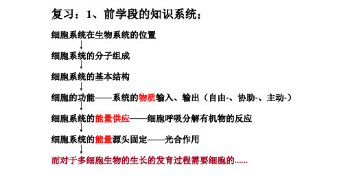 新课标-新授课：1.6.1-细胞的增殖【正式——2020版本】