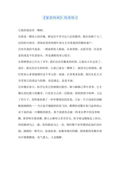 《窗前的树》阅读练习