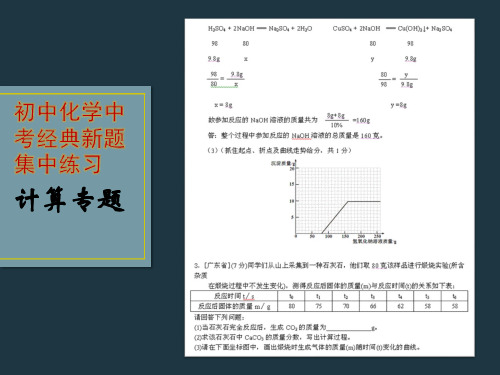 初中化学经典新题集中训练——计算题