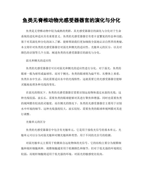 鱼类无脊椎动物光感受器器官的演化与分化