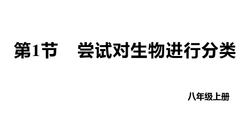 尝试对生物进行分类++课件-2022-2023学年人教版生物八年级上册