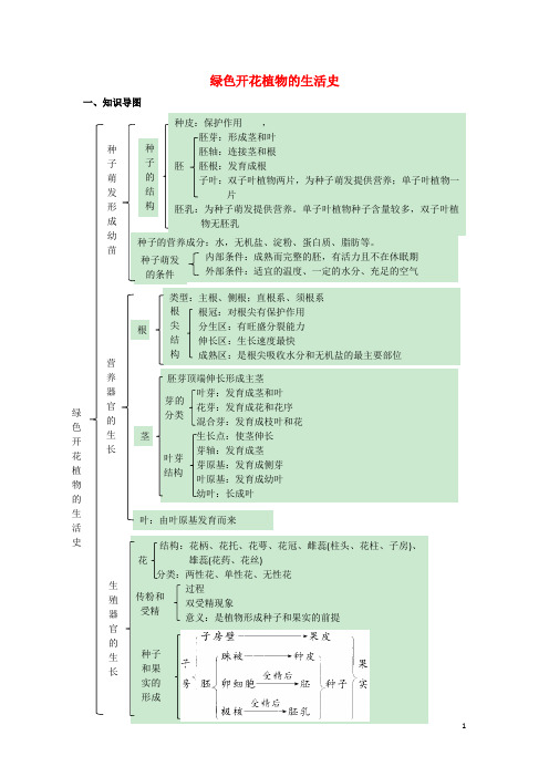 七年级生物上册 第3单元 第6章 绿色开花植物的生活史