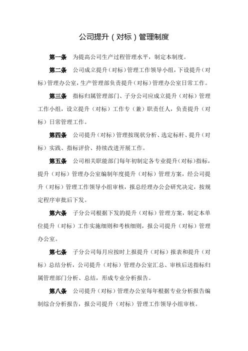 公司提升(对标)管理制度