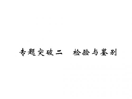 中考化学复习第2编重点专题突破篇专题突破2检验与鉴别