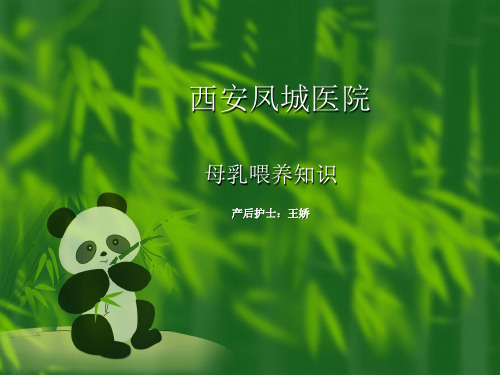 母乳喂养课件.ppt