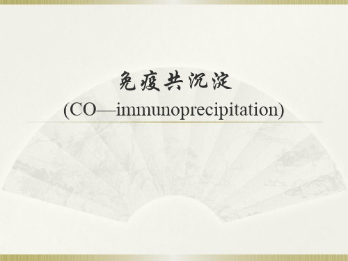 免疫共沉淀(Immunoprecipitation,+IP)ppt课件