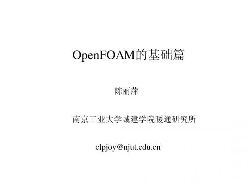 计算力学OpenFOAM讲座-基础篇(陈丽萍)