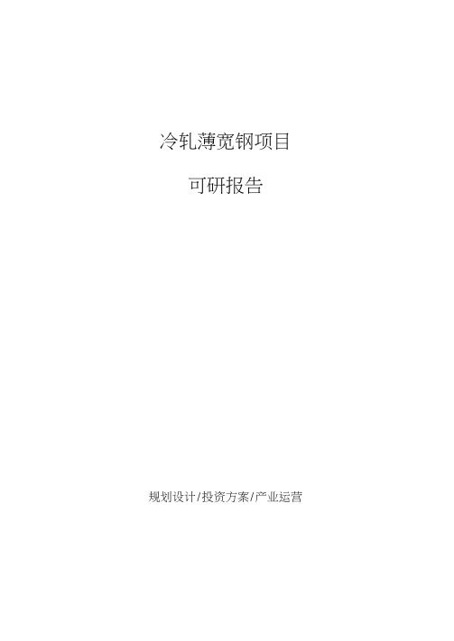冷轧薄宽钢项目可研报告