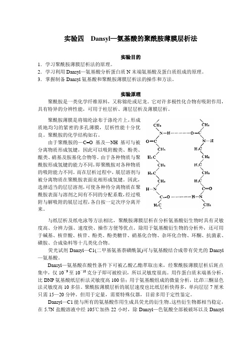 实验三  Dansyl—氨基酸的聚酰胺薄膜层析法