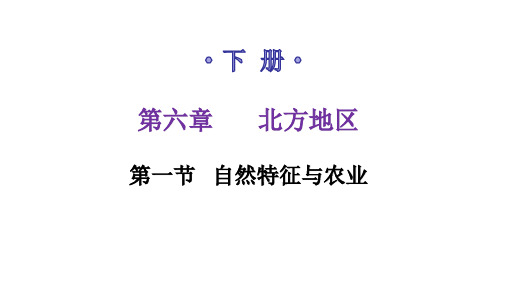 人教版八年级地理下册第六章第一节自然特征与农业练习课件