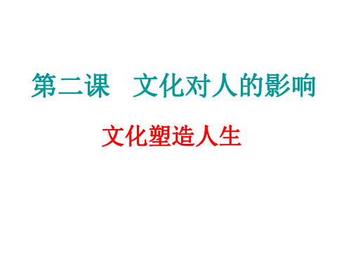 高二政治文化塑造人生(2)