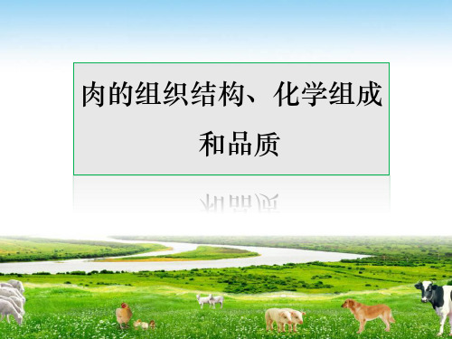 肉的化学组成、组织结构和品质