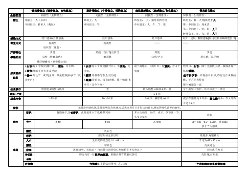 医学绦虫